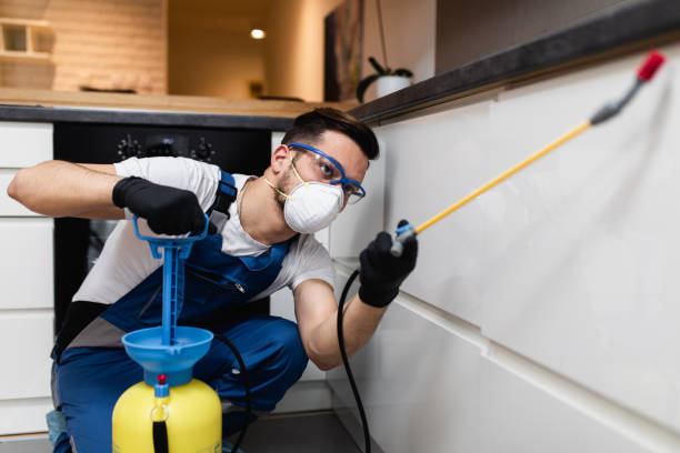Best Ant Control Services  in Cobden, IL