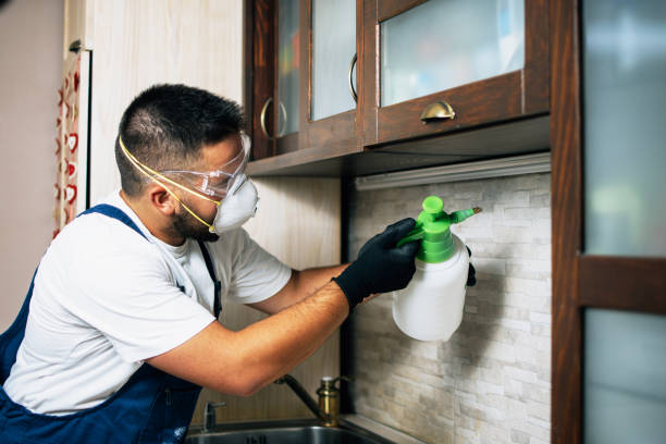 Best Best Pest Control Companies  in Cobden, IL