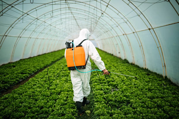 Best Best Pest Control Companies  in Cobden, IL