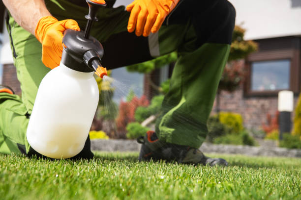 Best Cockroach Control Services  in Cobden, IL