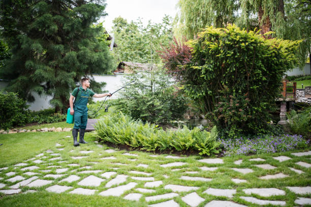 Best Wildlife Control Services  in Cobden, IL