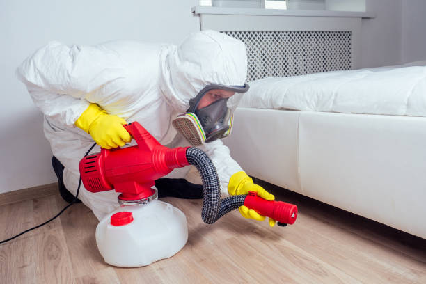 Reliable Cobden, IL Pest Control Solutions
