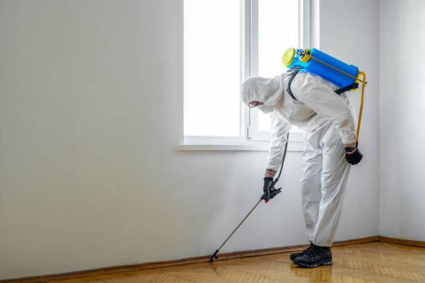 Best Commercial Pest Control Services  in Cobden, IL