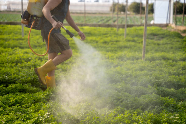 Best Pest Removal Services  in Cobden, IL
