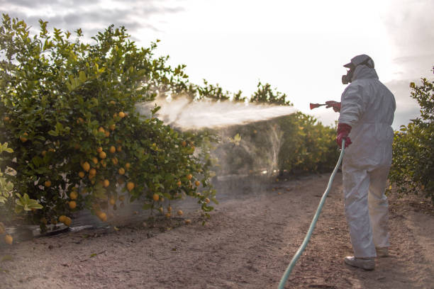 Best Emergency Pest Control  in Cobden, IL
