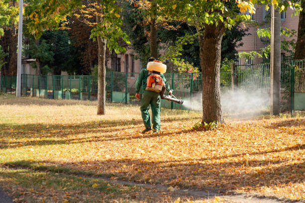 Best Mosquito Control Services  in Cobden, IL