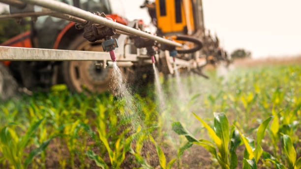 Best Pest Control Cost  in Cobden, IL